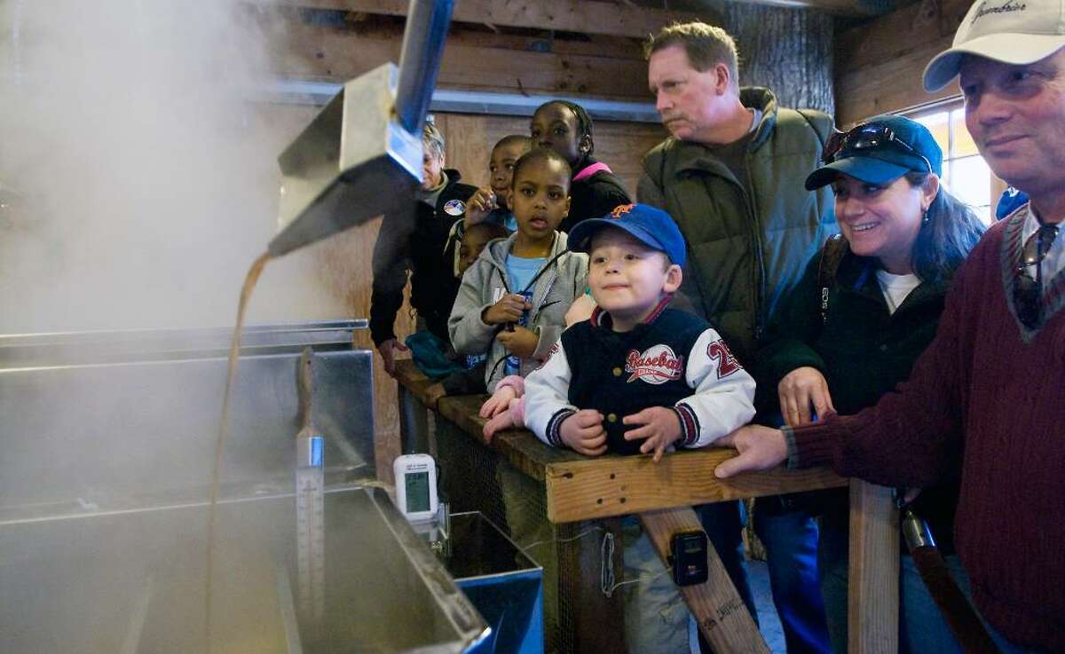 Festival showcases maple sugar concoctions