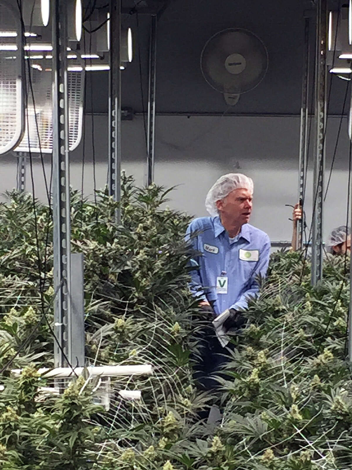 Hearst Connecticut Media Group Columnist Ken Dixon tours Advanced Grow Labs in West Haven, Connecticut, one of Connecticutís four medical-marijuana producers