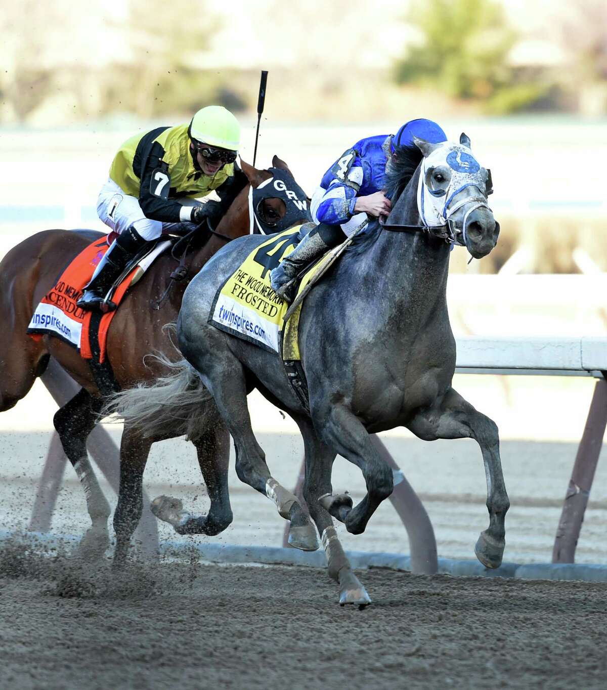 Frosted wins Wood Memorial at Aqueduct