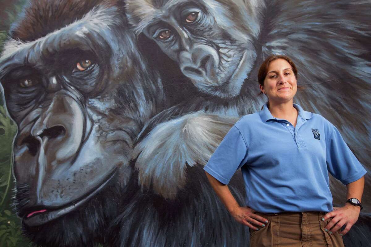 Jill Moyse, primate supervisor at the Houston Zoo, prepares for the May opening of the gorilla exhibit. ﻿