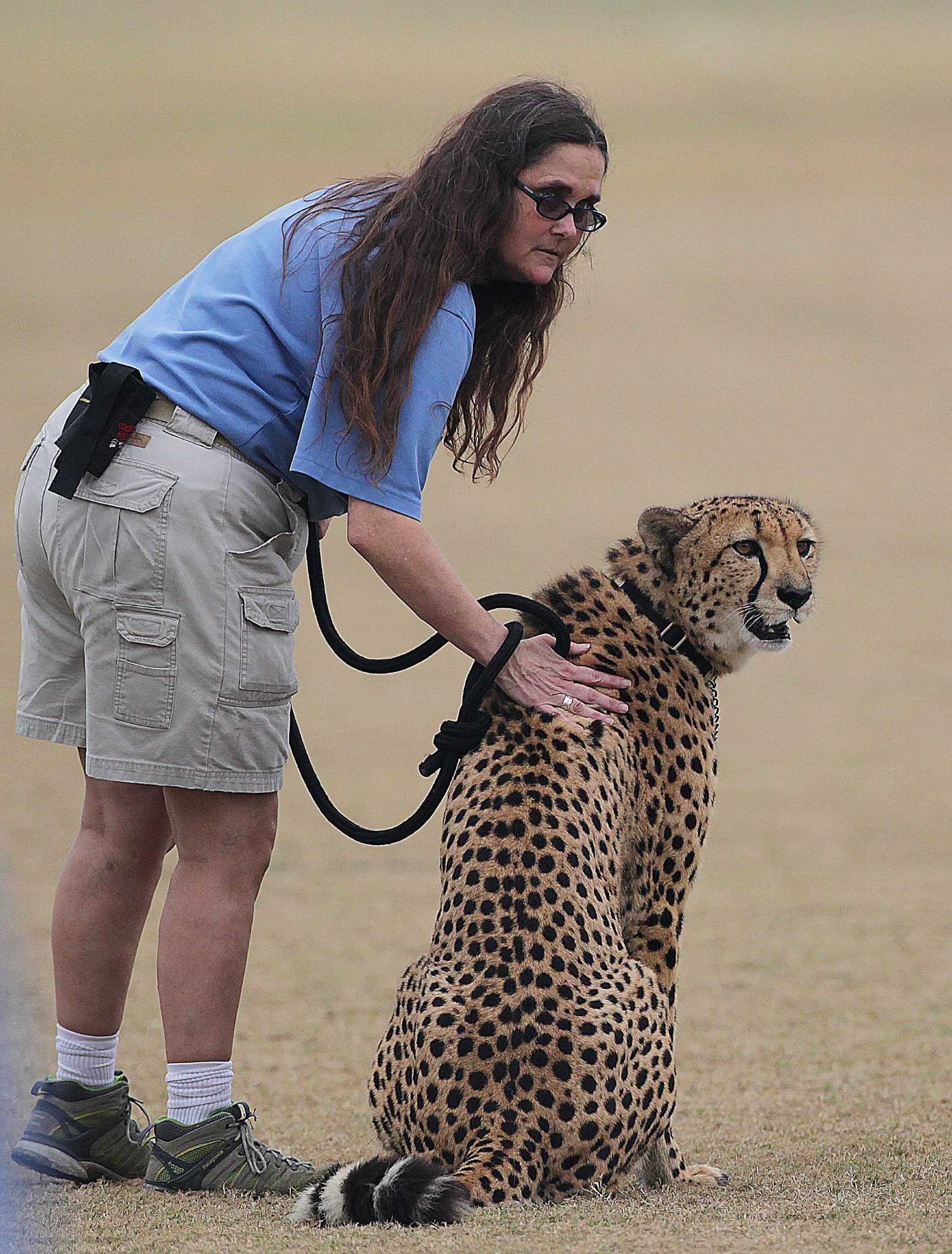 Houston Zoo zookeeper wins national award
