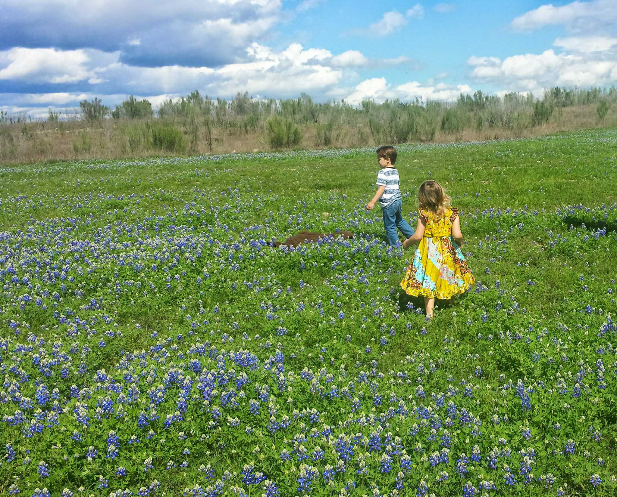 30 hidden suburban gems for your postcoronavirus bucket list