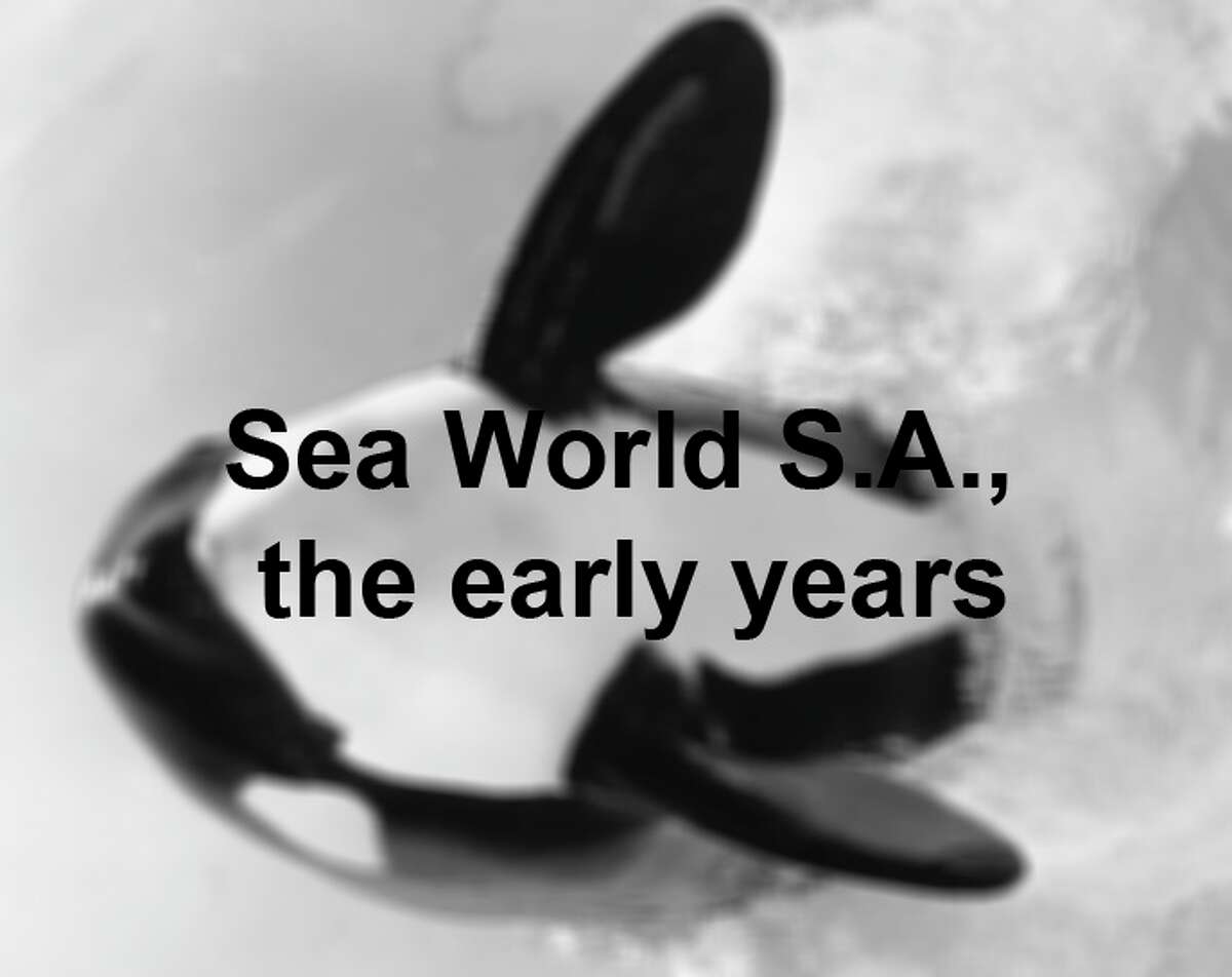 Photographs From Early Years Of Seaworld San Antonio