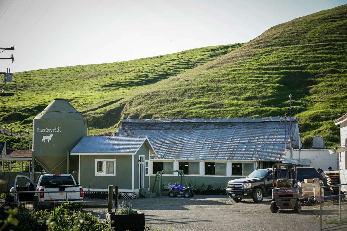 Petaluma’s farmstead dairy revival