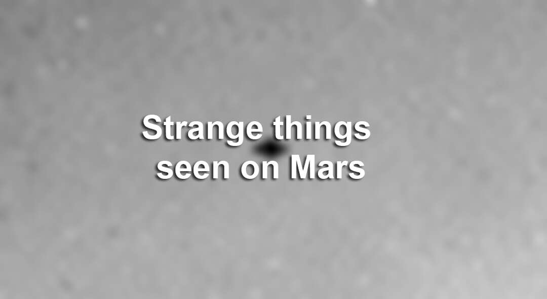 Wikileaks reveals email exchange between Apollo astronaut, feds on ...
