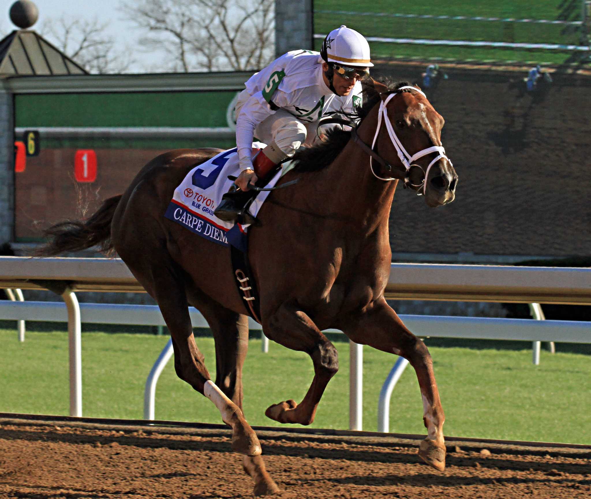Derby dozen A look at top contenders for Run for Roses