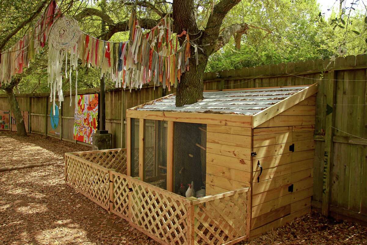 Scoring a coop Couple teach how to shelter, feed chickens