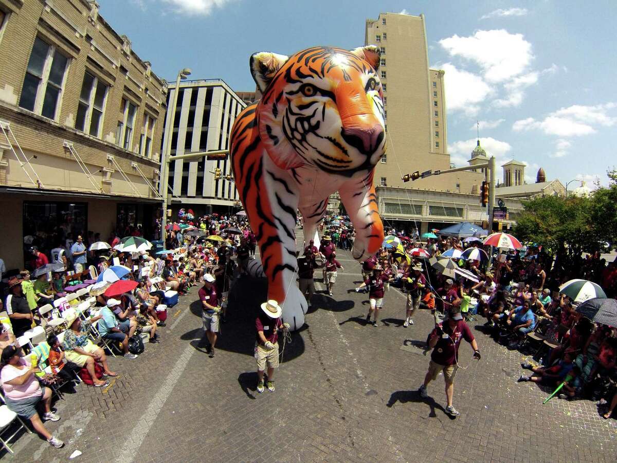 The Trinity University Tigers balloon floats along Commerce Street during the Battle of Flowers parade last year.