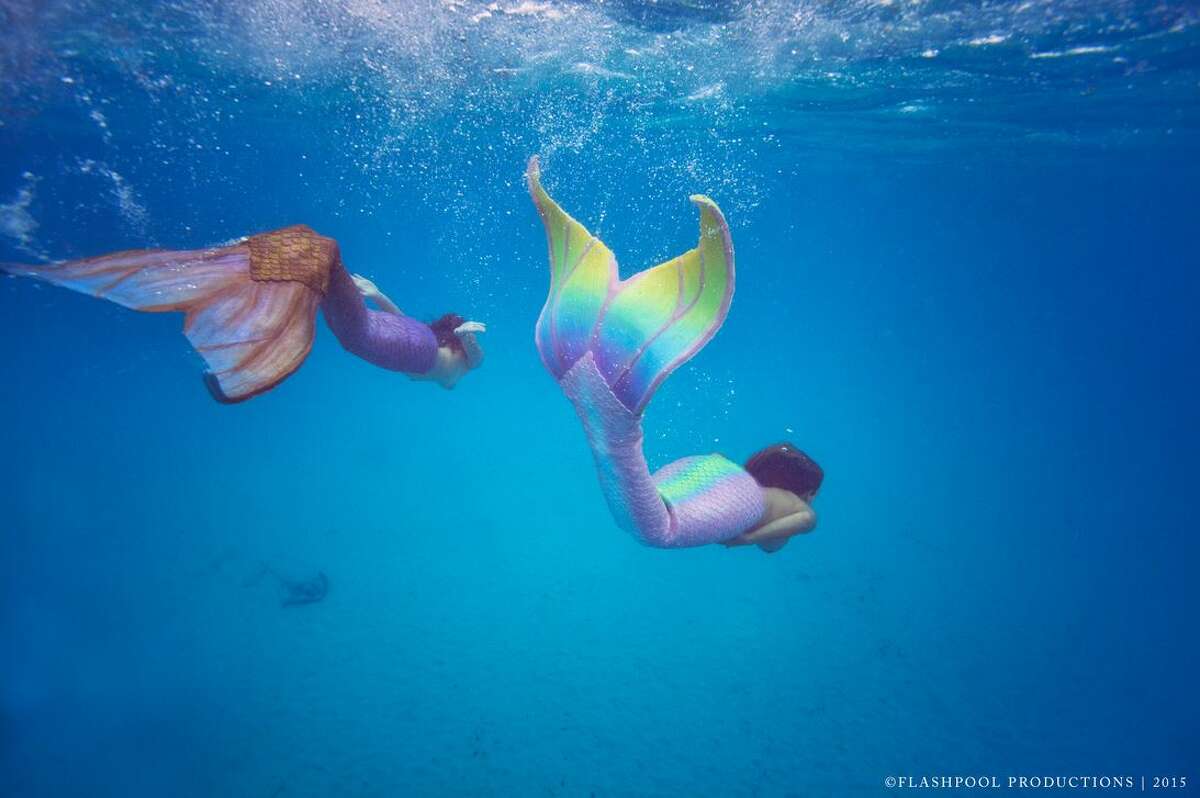 Sirenalia mermaids swim with sharks and manta rays in the Great Barrier Reef of Belize.