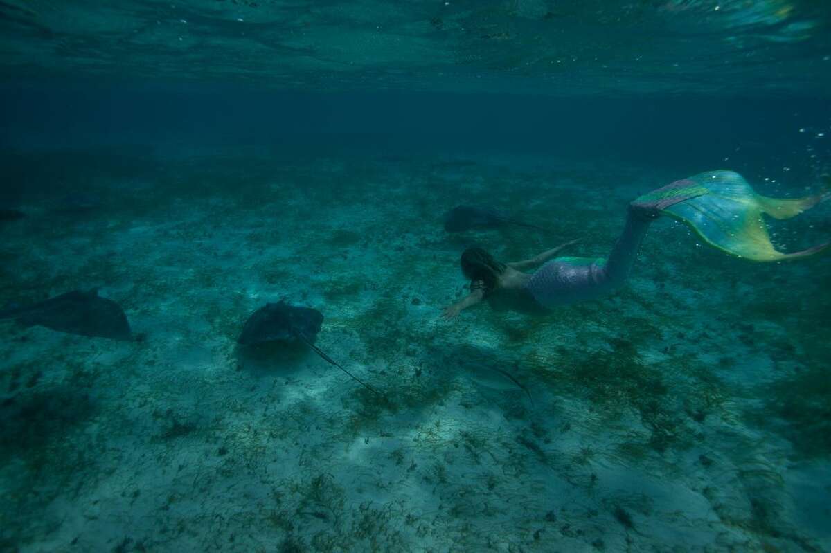 Pregnant Austin Mermaid Swims With Sharks In The Great Barrier Reef Of