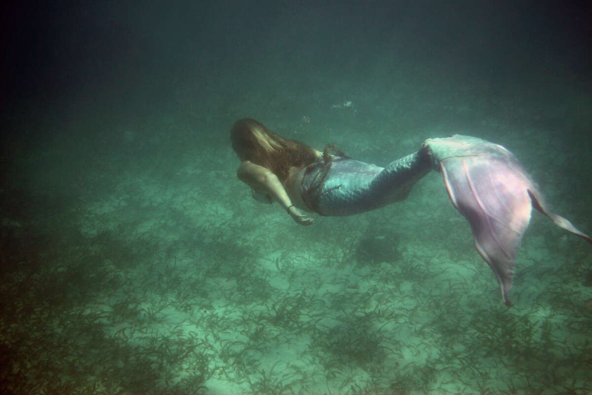 Pregnant Austin Mermaid Swims With Sharks In The Great Barrier Reef Of