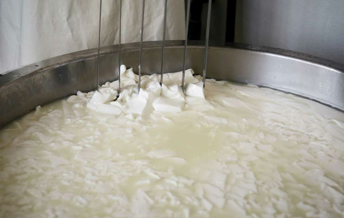 Farmstead dairies on the Petaluma cheese trail