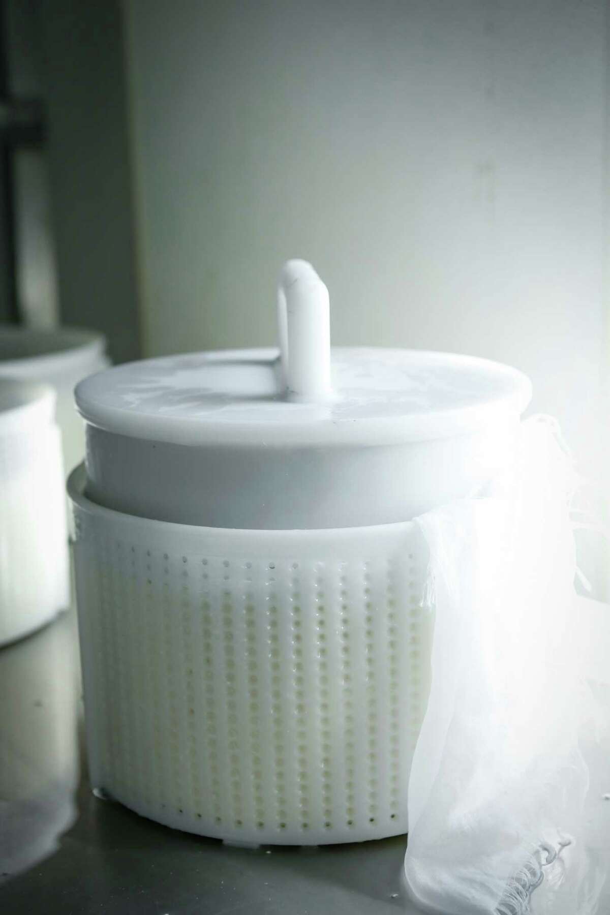 Farmstead dairies on the Petaluma cheese trail