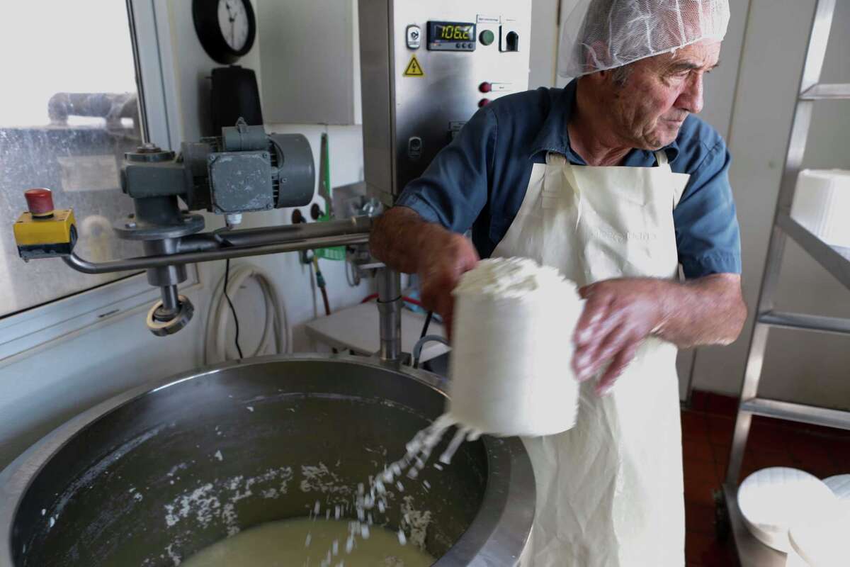 Farmstead dairies on the Petaluma cheese trail