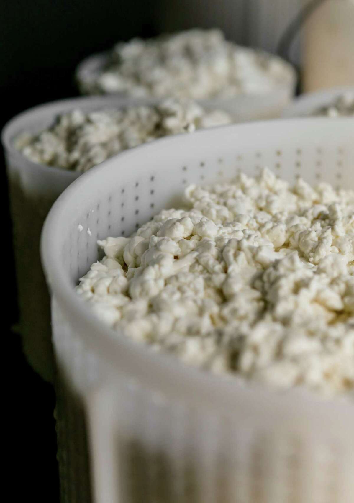 Farmstead dairies on the Petaluma cheese trail