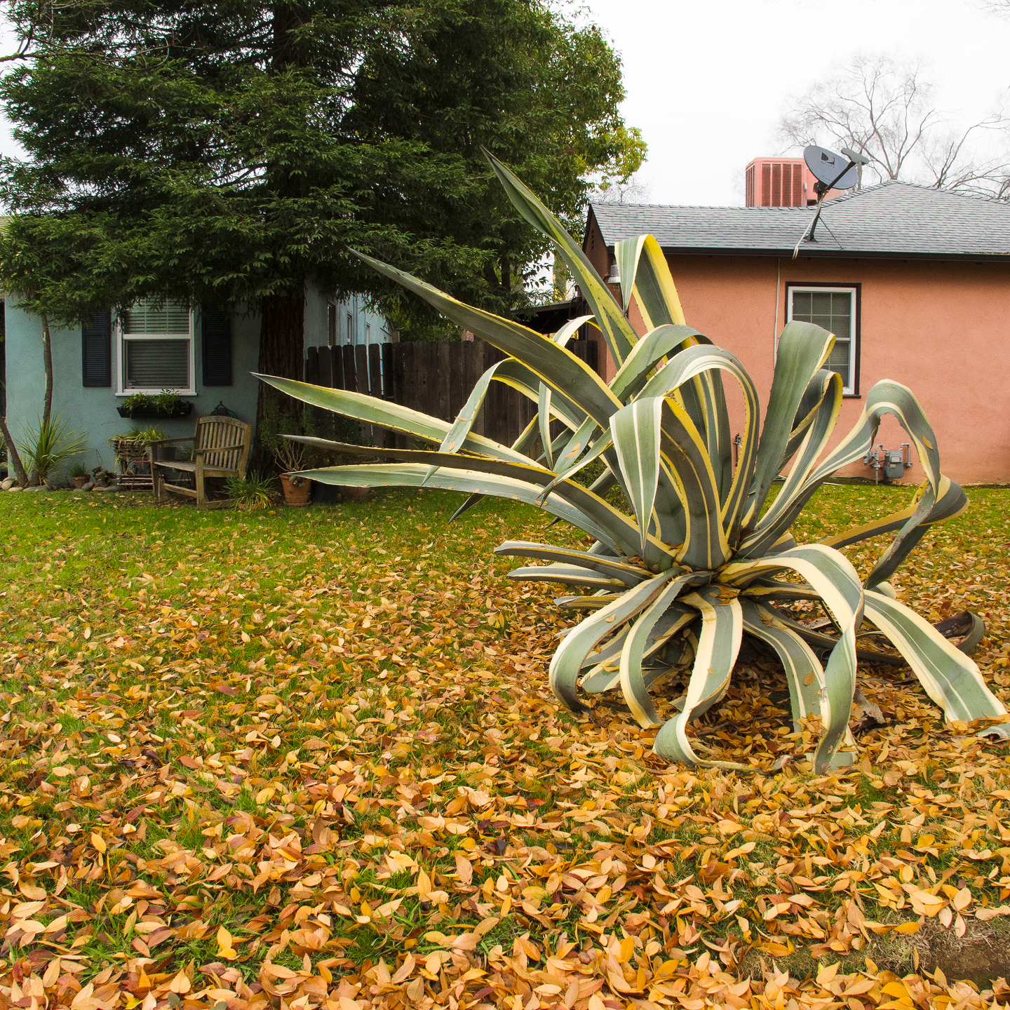 Property Line': photographs by Roberta Neidigh