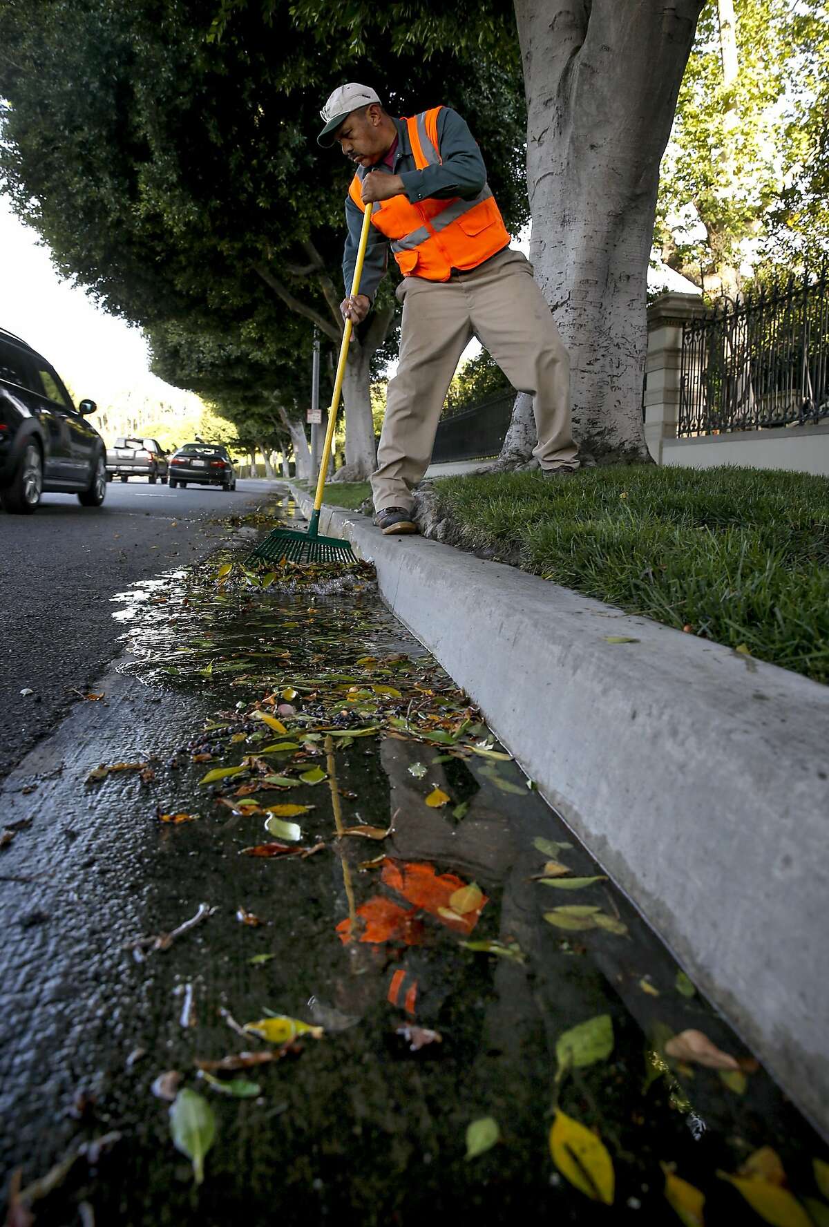 Gardener, Valentine Lopez collects debris from runoff water which puddled in the gutters along Sunset Blvd. after early morning irrigation in the Southern California City of Beverly Hills, Calif., as seen on Thurs. April 9, 2015. The city of Beverly Hills one the the largest users of water in California may be required to cut their water consumption by 35 percent during this the fourth year of drought in the State of California.