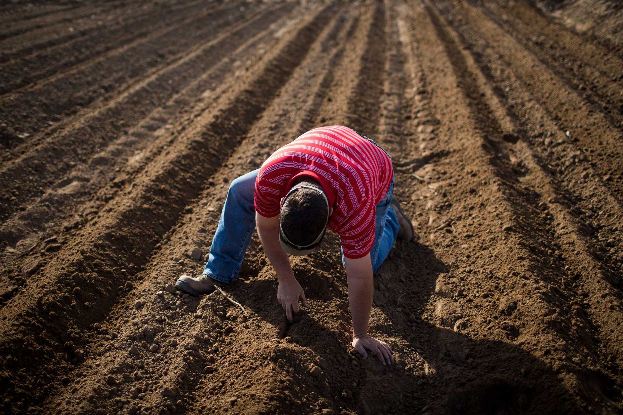 euro-oil-companies-address-climate-change-americans-bury-heads-in-sand