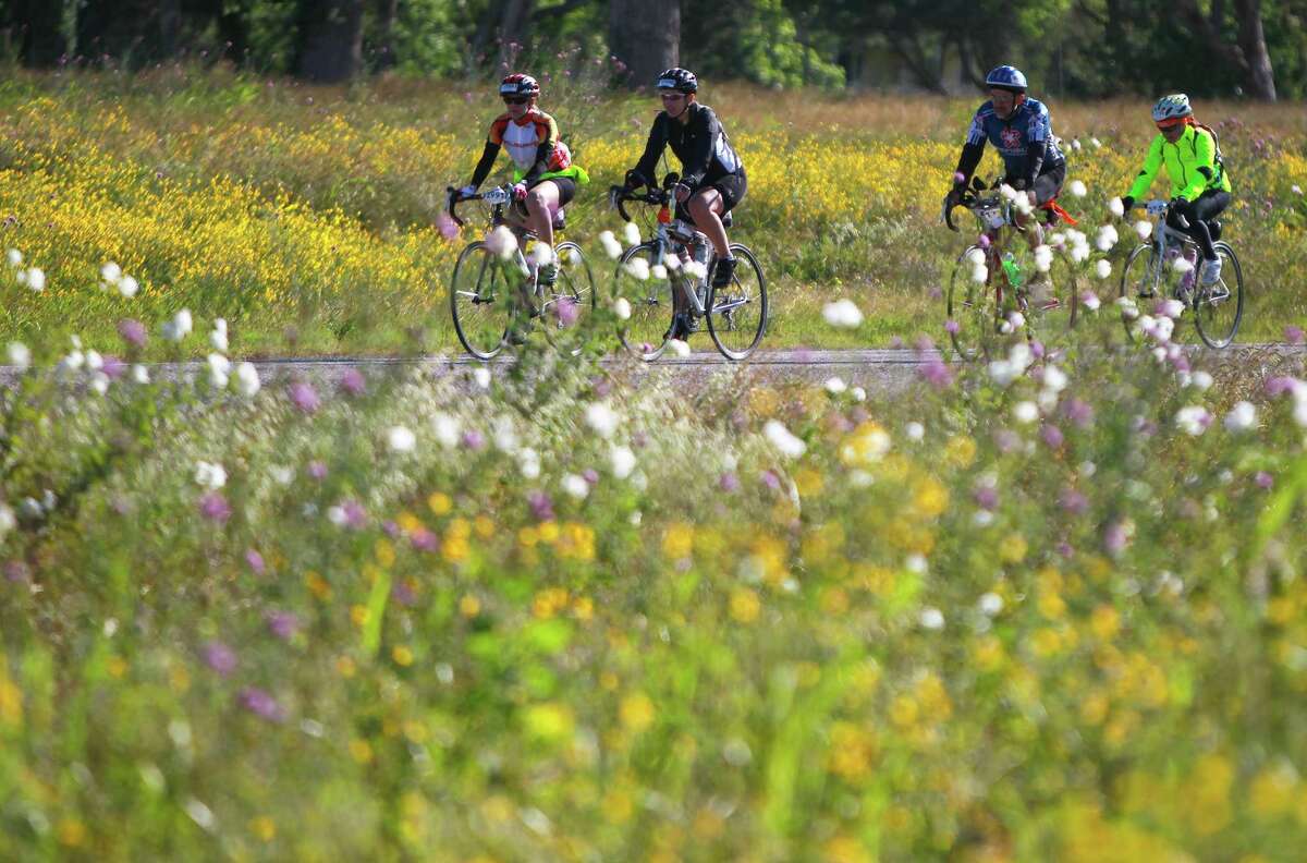 Wild flowers will be out for the BP MS 150 this weekend, just like they were in 2012 in this Austin County photo.
