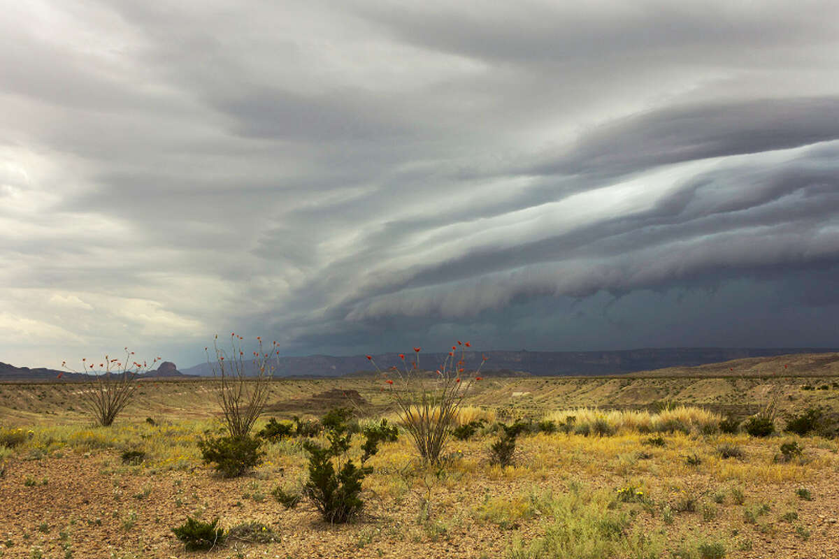 Gary Nored was photographing wildflowers on the Big Bend Ranch State Park in West Texas when he was caught in a supercell storm that soaked the entire park.