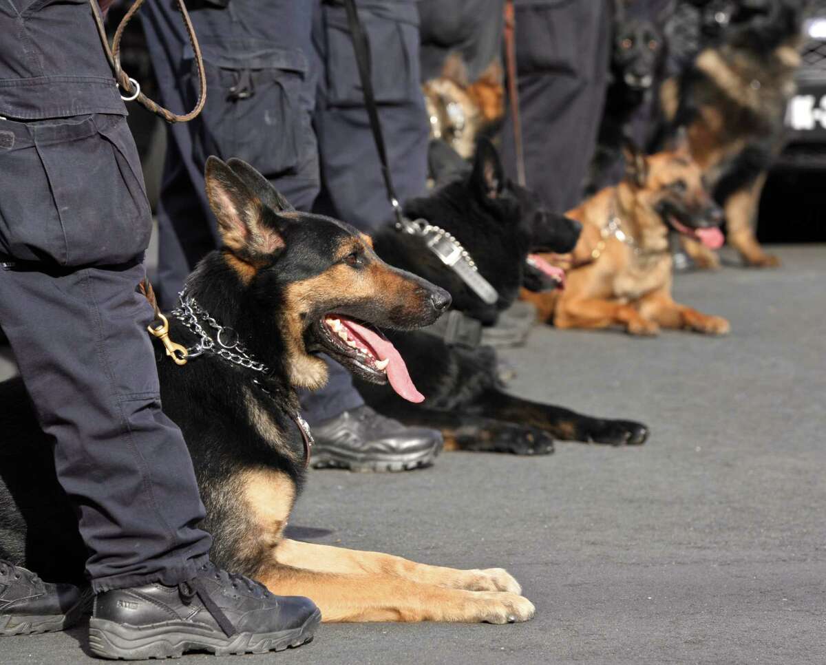 K-9 Officer Zeus honored with last ride through Ridgefield