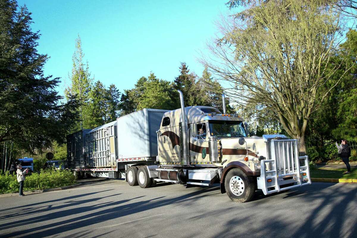 Woodland Park Zoo elephants rerouted to San Diego due to weather