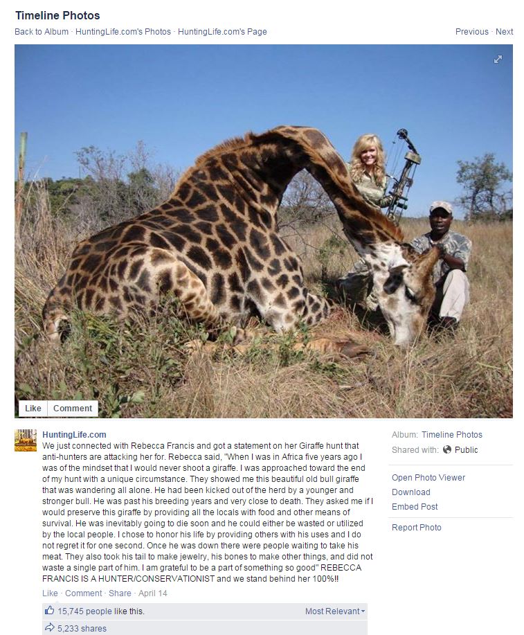Tweets of the Week: Danhausen's giraffe friend, Killer Kross love story,  more! - Cageside Seats