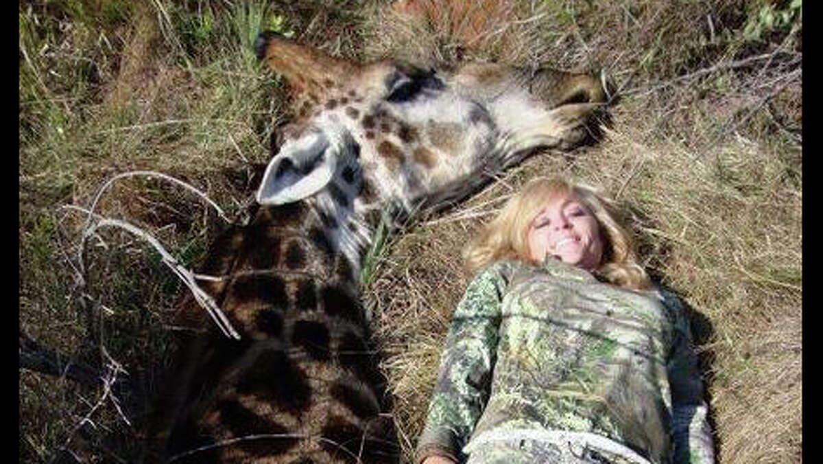 A modified photo of Rebecca Francis and a giraffe she killed.