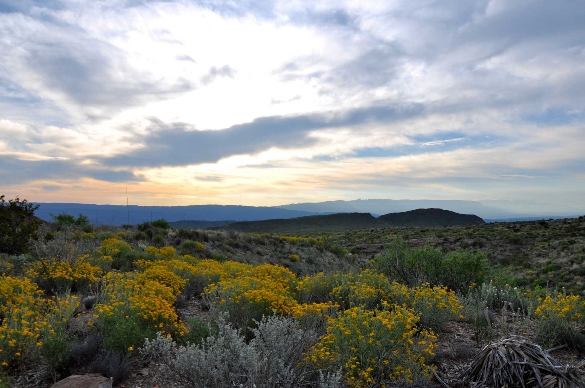 There's no better time for road trip to Big Bend