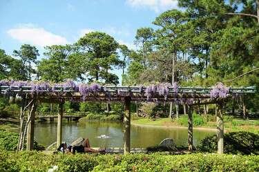 Hermann Park S Japanese Garden Serves As City Oasis Houston