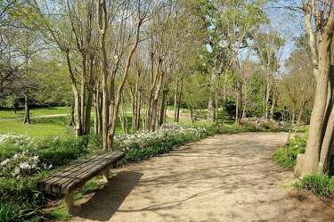 Hermann Park S Japanese Garden Serves As City Oasis