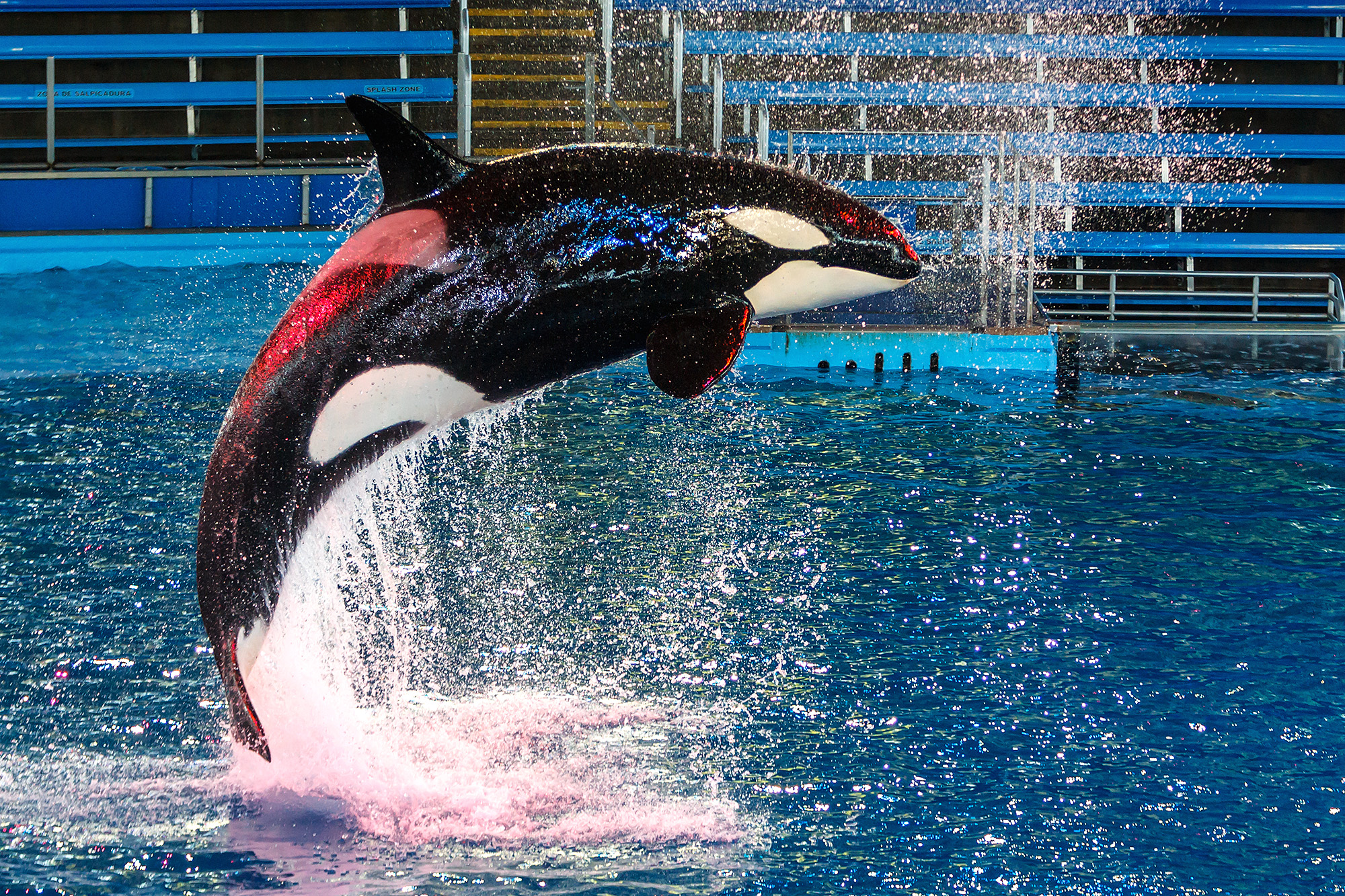 Texas resident sues SeaWorld in S.A. federal court