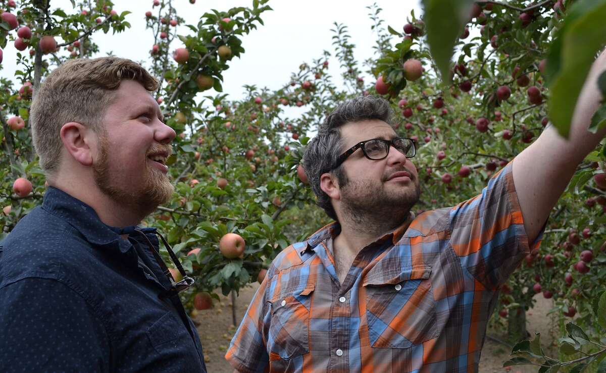 Sonoma County At Center Of State’s Hard Cider Revival