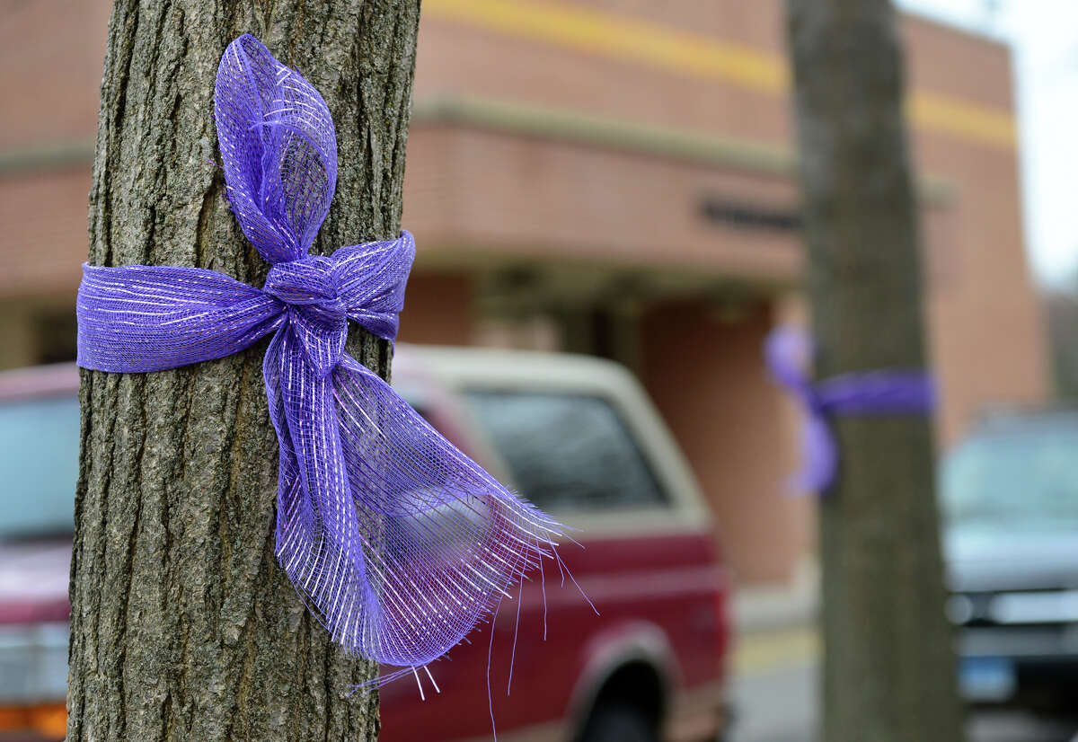 Purple ribbons are tied around trees at Jonathan Law High School in honor of student Maren Sanchez in Milford, Conn. on Thursday Apr. 9, 2015. Sanchez was stabbed to death at the school last April.
