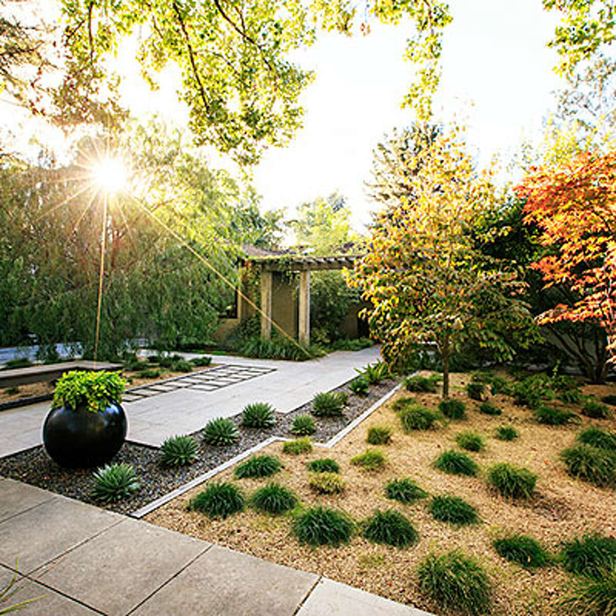 drought tolerant landscaping front yard