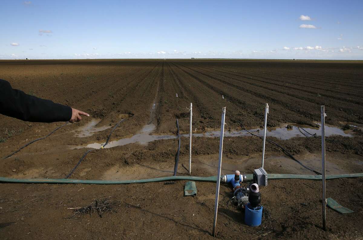 Jean Errotabere points out a solar-powered wireless valve used to control the watering time for their drip-system on Errotabere Ranches' land April 9, 2015 in the Westlands Water District in Five Points, Calif. The Errotaberes fallowed 1,200 acres of land this year. Westlands is the largest agricultural water district in the country, providing water to 700 farms in over 1,000 square miles of land in the Central Valley.