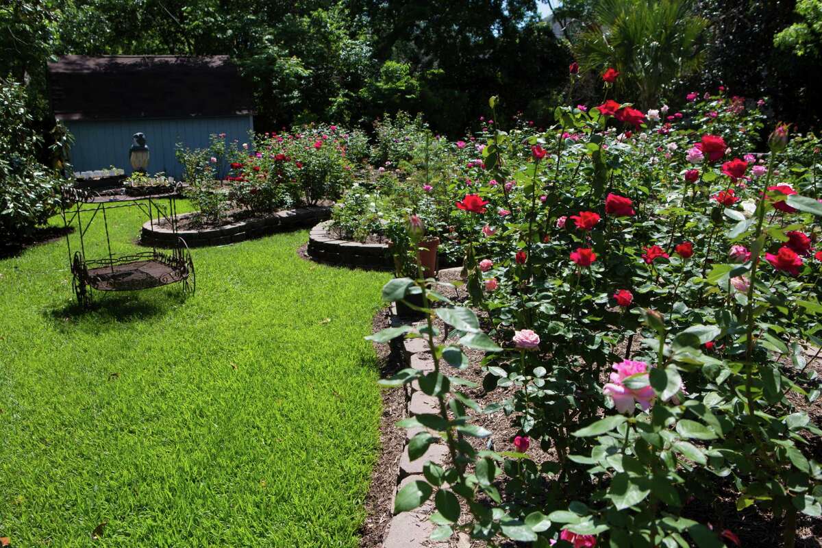 Houston has its own rose parade