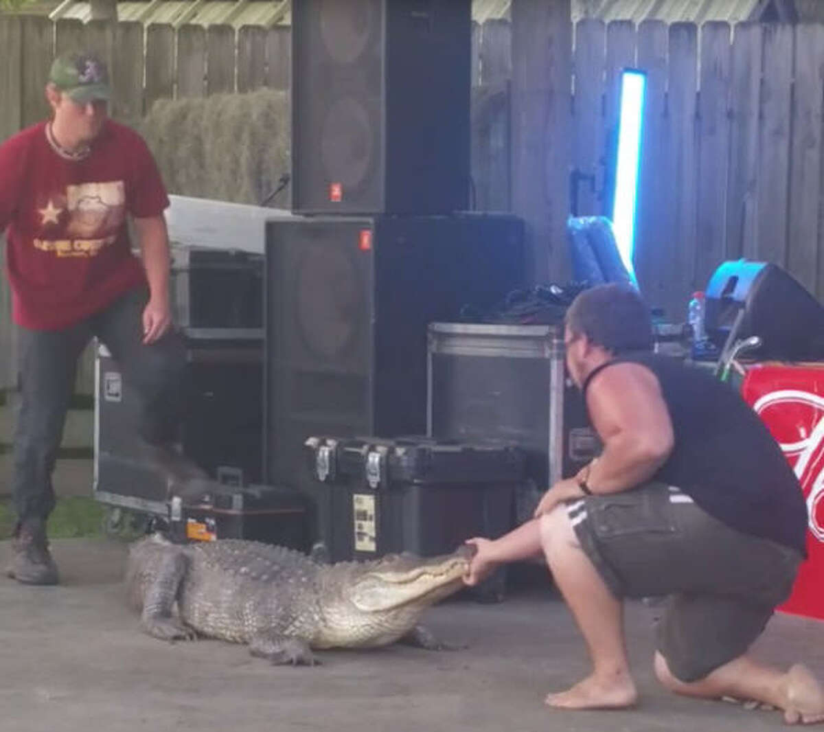 Gator bite leaves man in ironic T-shirt a bloody mess in Spring