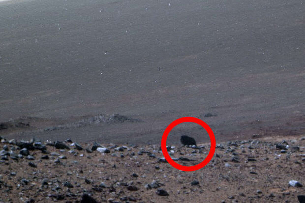 Are buffalo at home on the range of Mars? The alien observers at UFO Sightings Daily say this Mars rover image shows a lonely buffalo wandering the wide open spaces of the red planet.