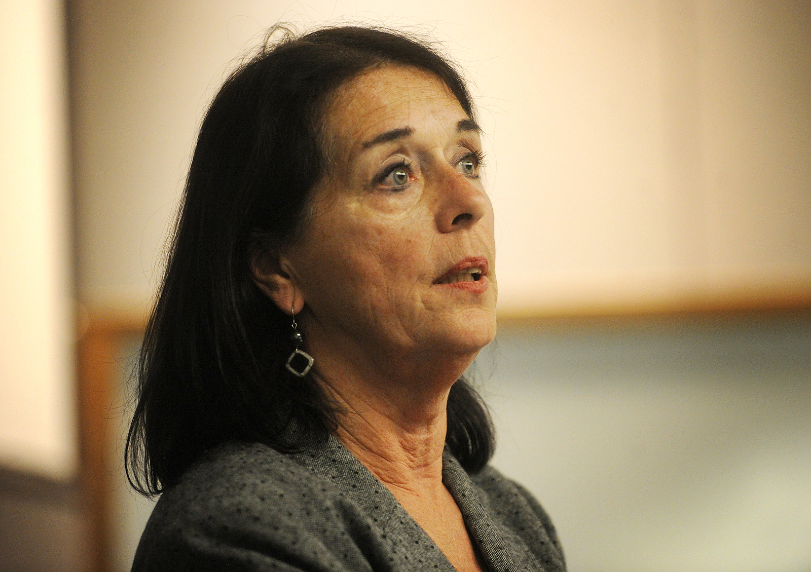 Love Canal advocate reflects on environmental changes