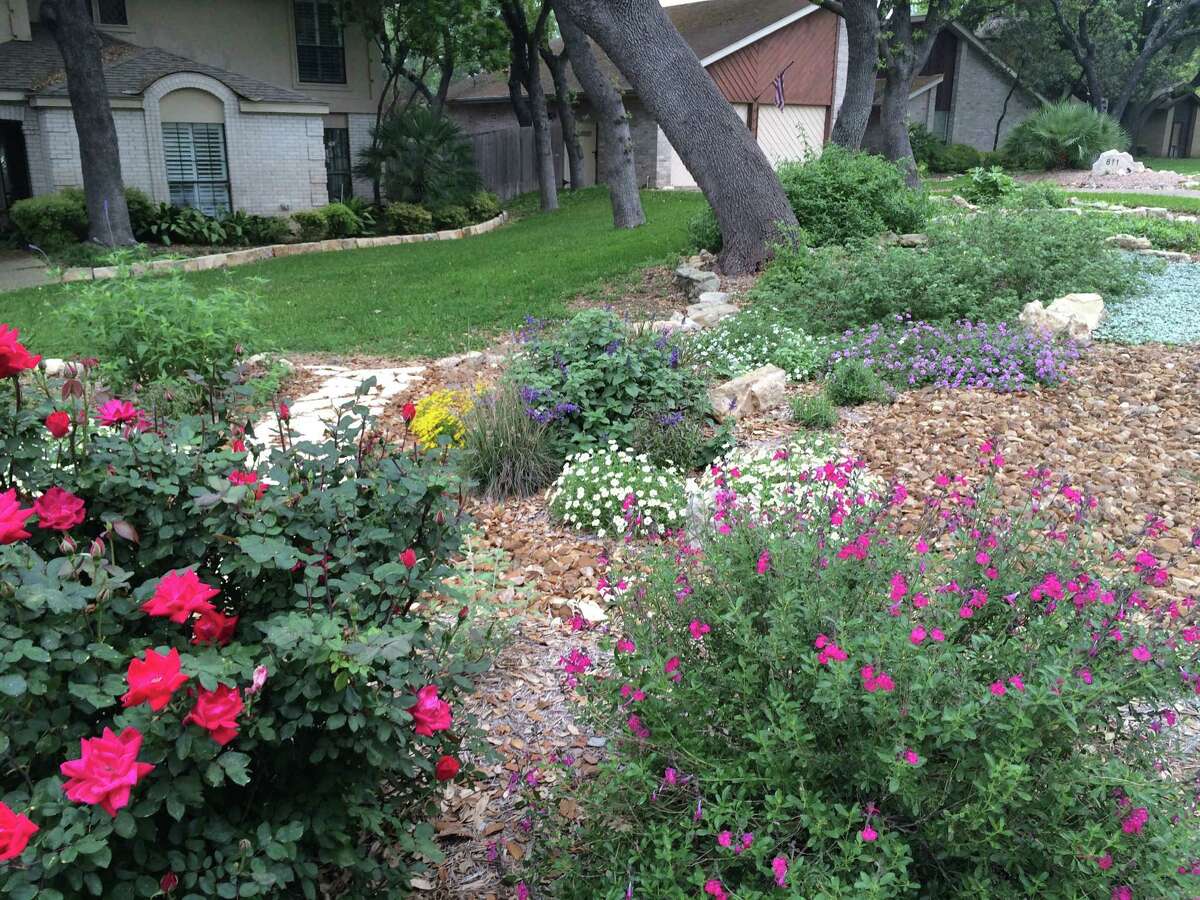 A 100 SAWS coupons to say buhbye to your lawn