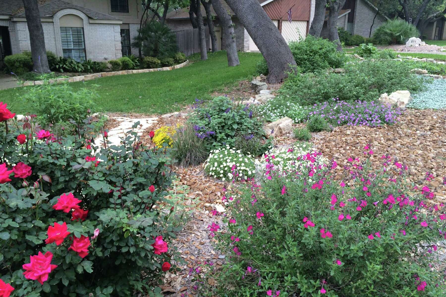 A $100 SAWS coupons to say buh-bye to your lawn