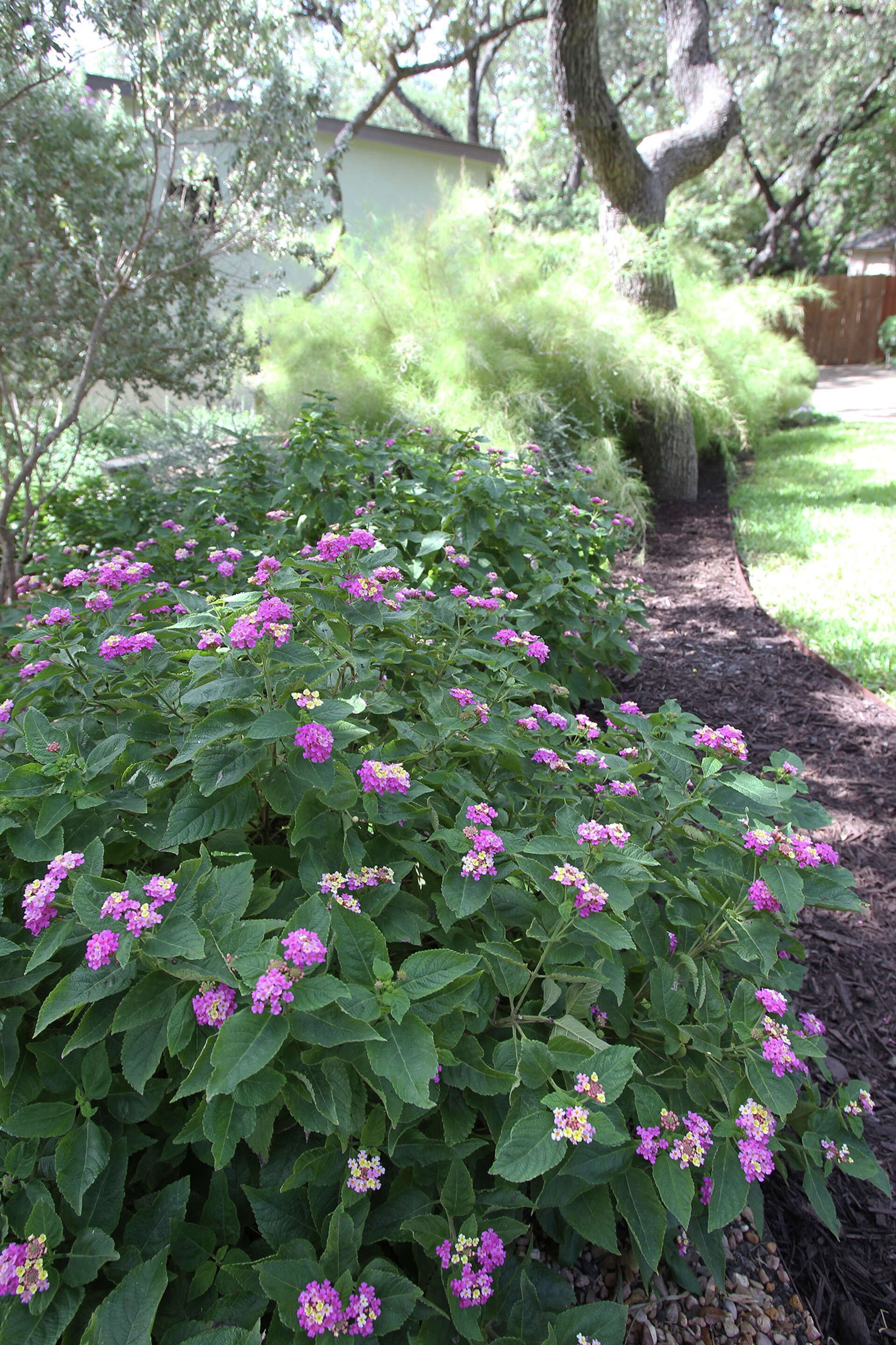 A 100 SAWS coupons to say buhbye to your lawn