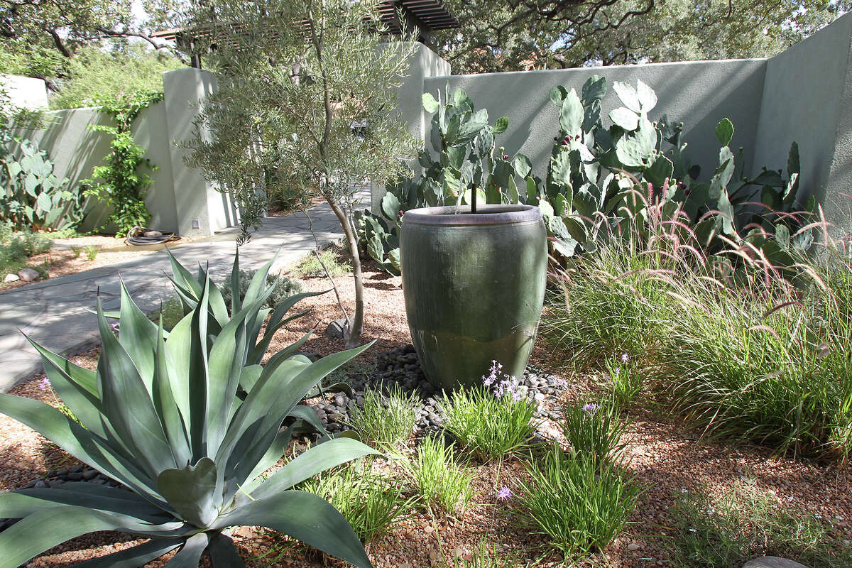 A 100 SAWS coupons to say buhbye to your lawn