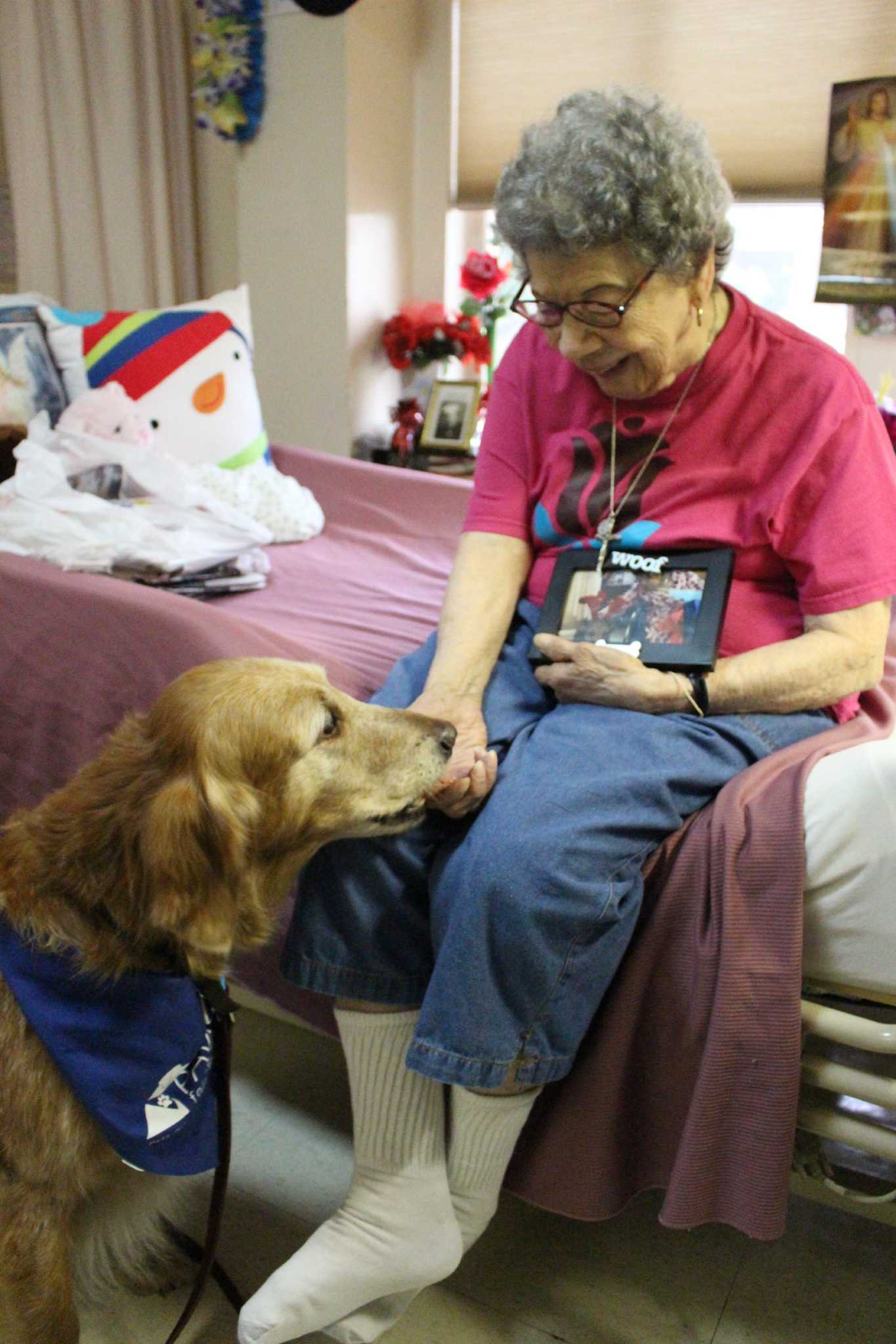 Dogs visiting nursing store homes