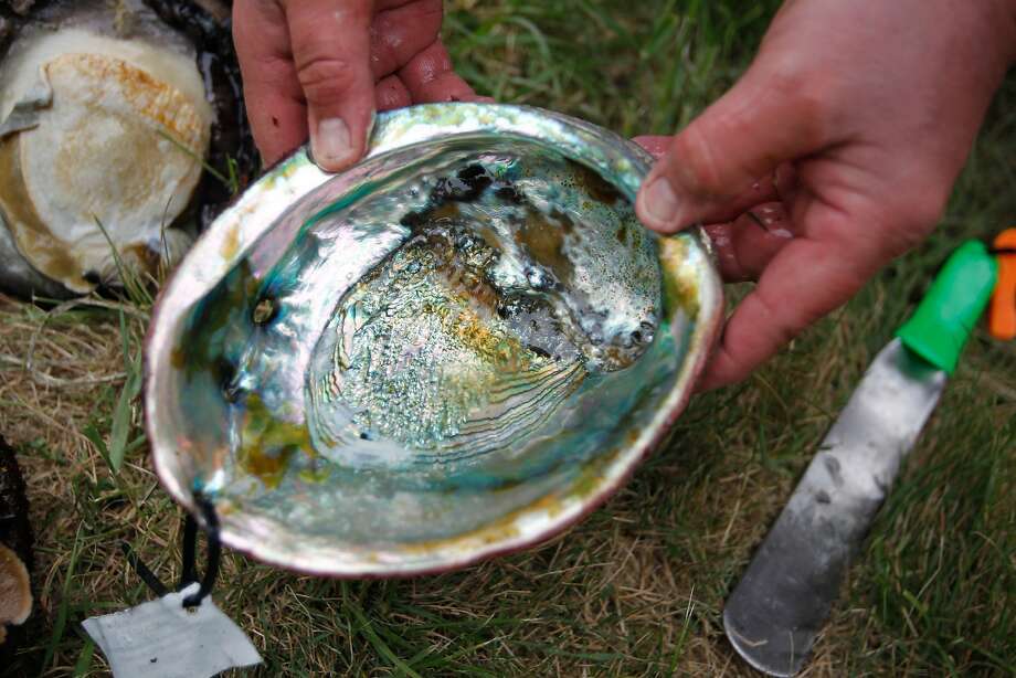 Man dies abalone diving — 6th fatality this year SFGate