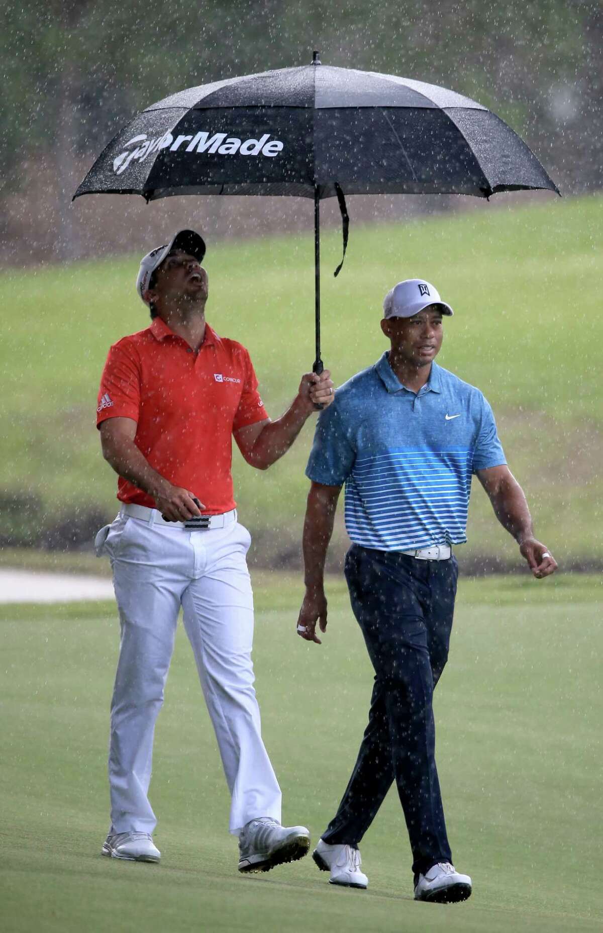 tiger woods umbrella