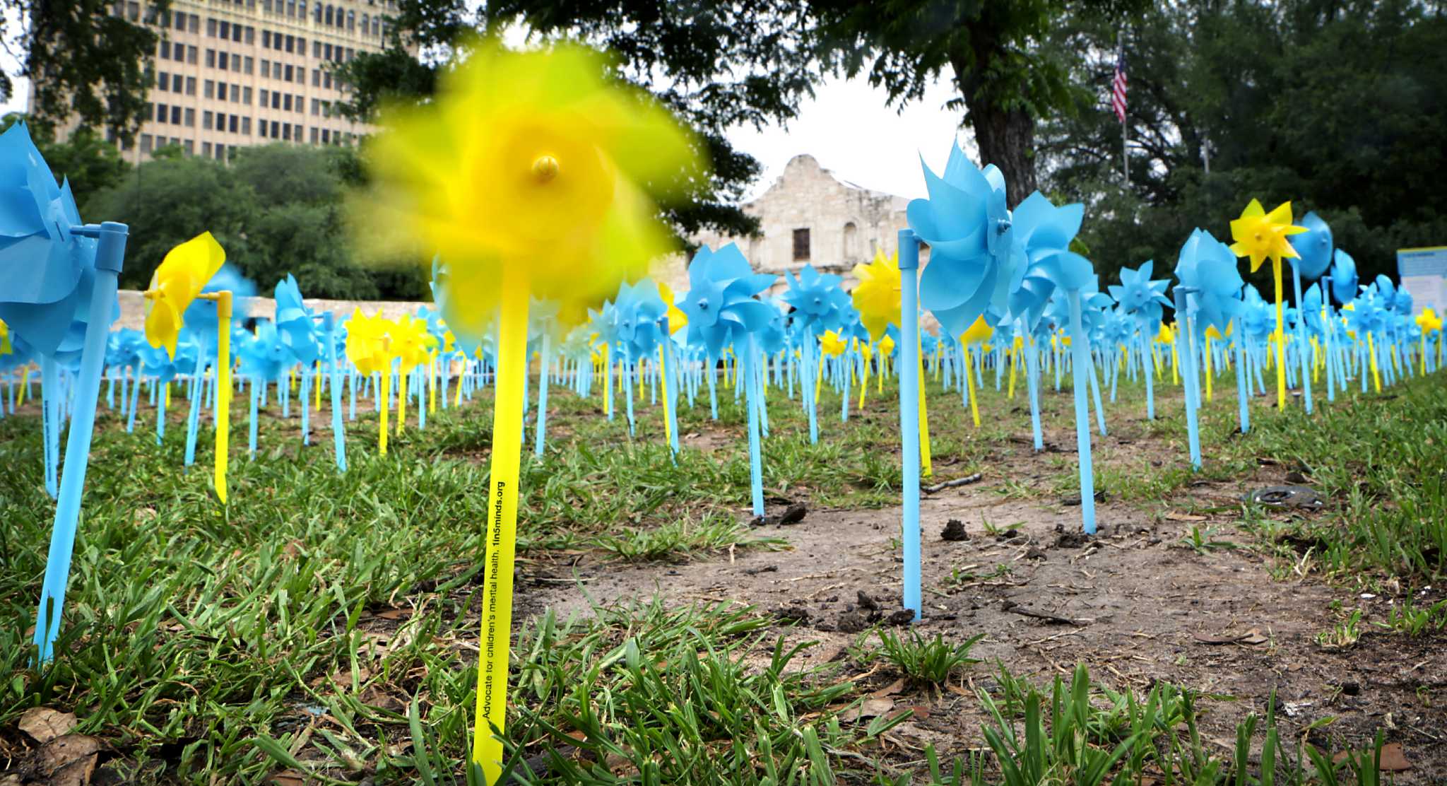 1000s-of-pinwheels-seek-to-reduce-stigma-of-mental-illness