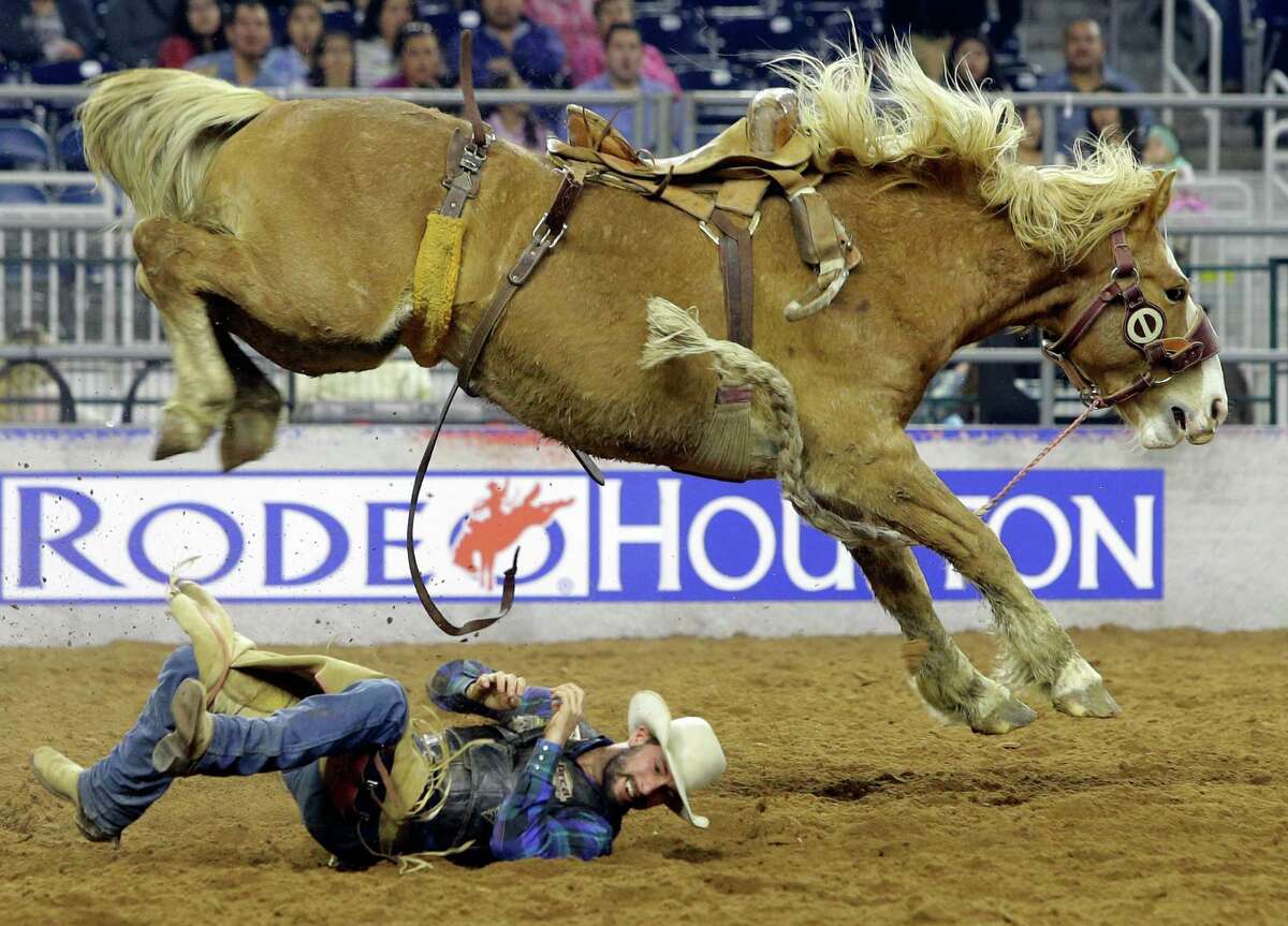 Will Smith of Marshall, Mo., rolls out of the way after being bucked off in saddle bronc riding during RodeoHouston. The livestock show and rodeo use 14,000 yards of dirt each year.
