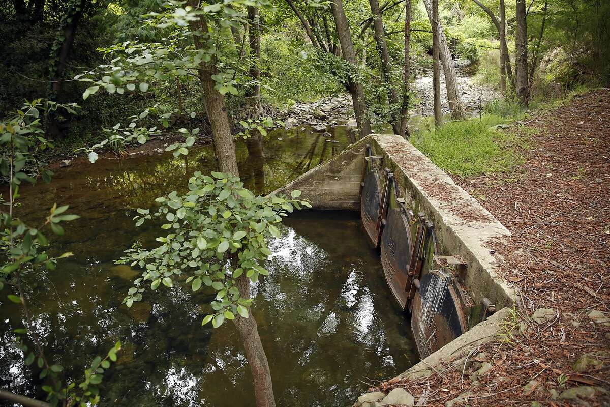 East Bay residents to get steady diet of foul water